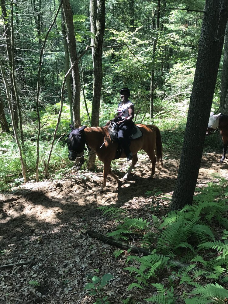 Horseback riding lesson photo 2