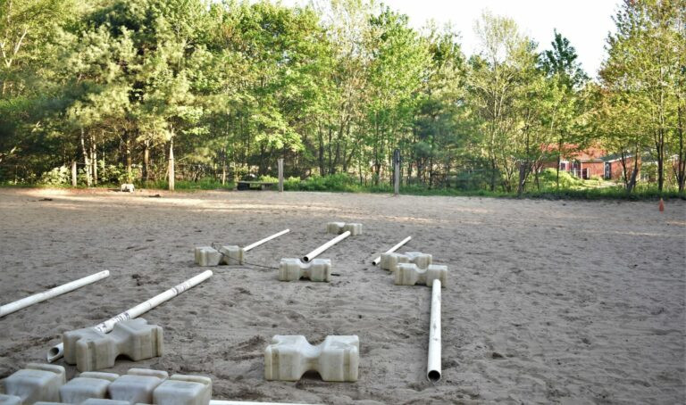 Horseback riding lesson photo 6