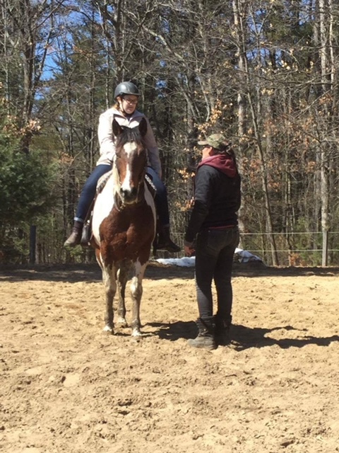 Horseback riding lesson photo 7