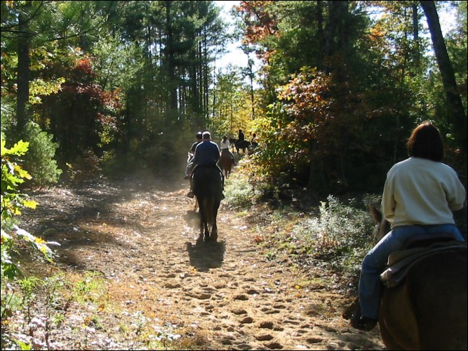 Trail image 4