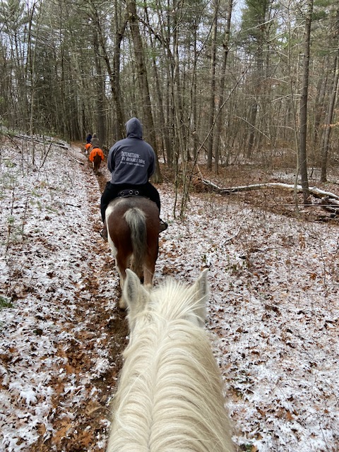 Trail riding at Lucky 7 Stables